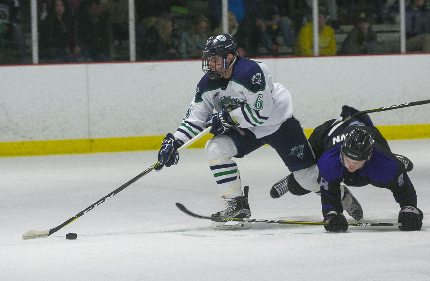 Hockey Bulls vs. Wausau 14